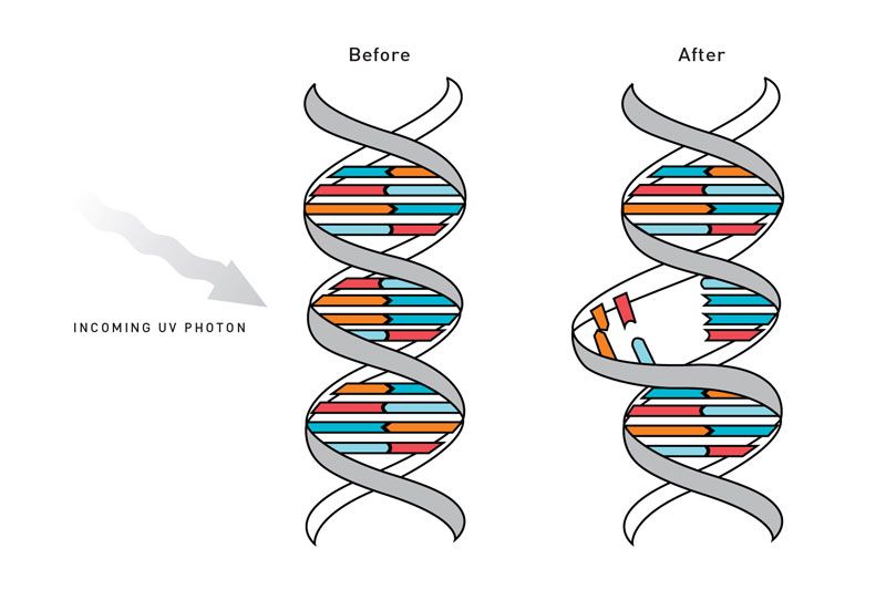AN002 -UVC LED进行消毒